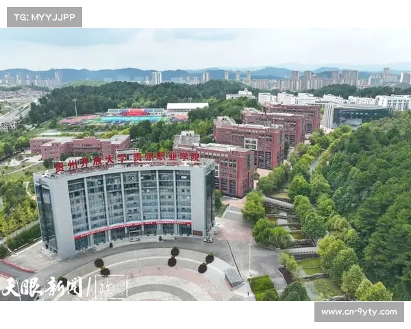 职业联赛B队参赛制度扩大青训成才路径